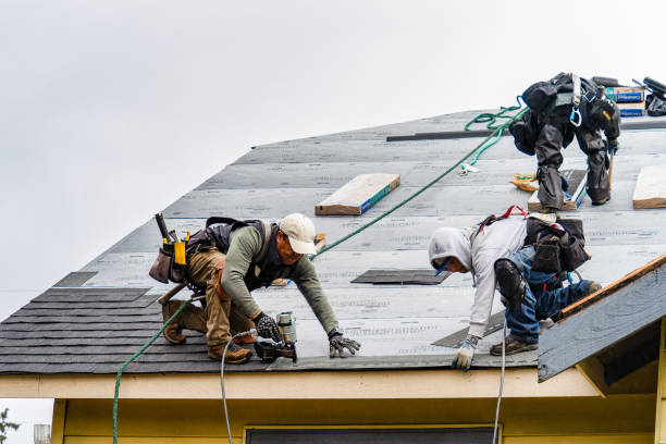Professional Gutter Installation technician working in Little Falls, MN